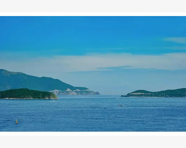 MT4单笔亏损超限自动停开仓EA编写教程_编写核心循环遍历与止损修改代码