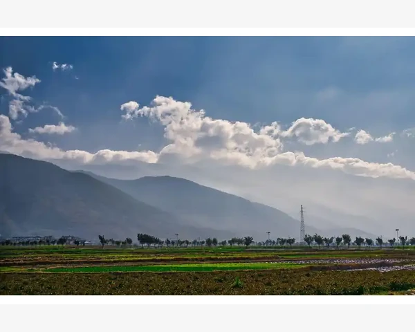 MT4图表自动缩放失灵手动调整价格范围解决_自动缩放失效的常见原因_2