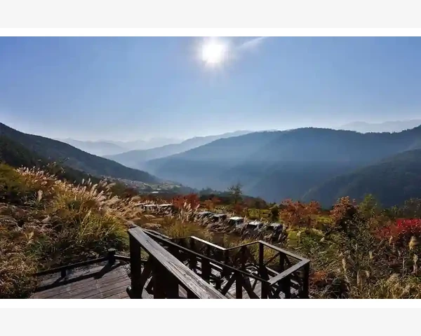 MT4注册姓名无法修改的真相与应对办法_如何科学判断角度过大的趋势线是否可用