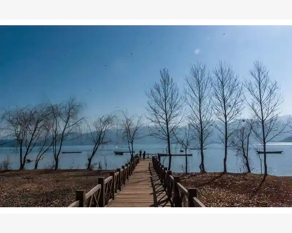 MT4实时行情一键推送DDE协议实现跨程序对接_交易中如何利用净值管理风险