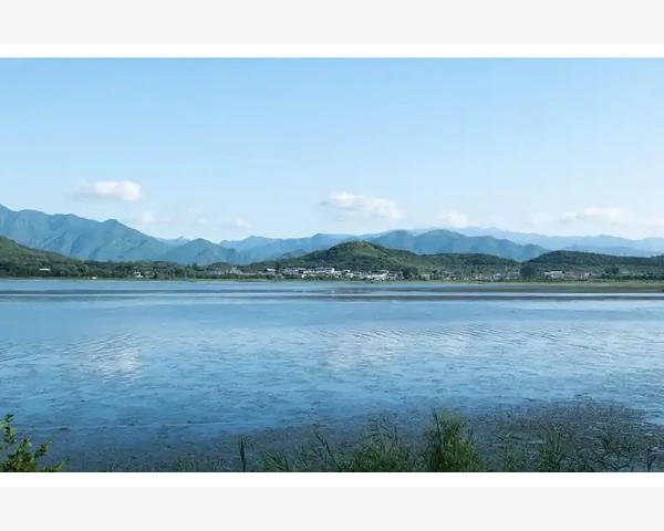 MT4十字线测量工具精准计算价差与时差_十字线工具的基础操作与调用方法_1