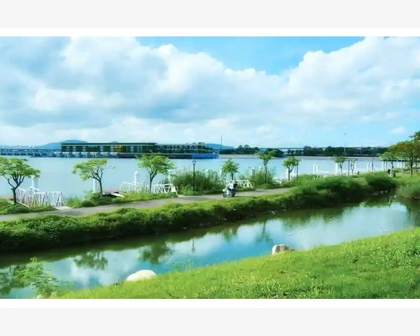 MT4市场报价窗口添加多个品种监控行情_管理已添加的指标:修改、删除与隐藏