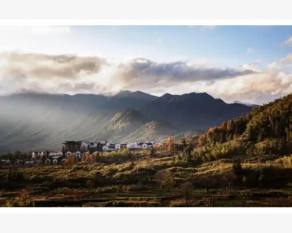 MT4移动端登录失败常见原因与解决步骤_手动拖拽指标到图表并调整参数