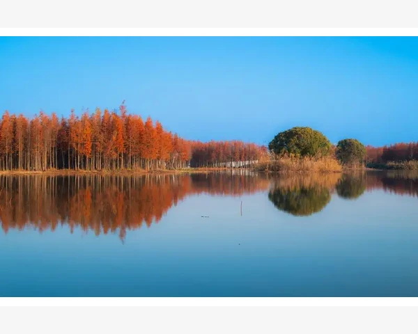 MT4一键平仓插件安装与使用全流程_为什么MT4默认没有一键平仓功能_2