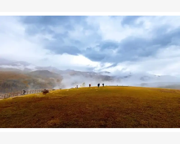 MT4终端字体放大轻松解决浮动盈亏显示问题_浮动盈亏数字显示的现实困境
