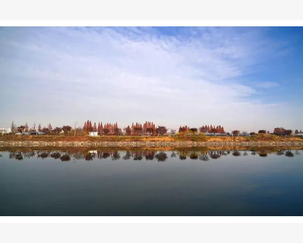 MT4历史数据缺失原因及完整修复方法_数据存储容量限制与本地设置问题_3