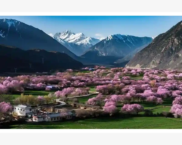 MT4自定义模板保存后找不到了怎么办_用MT4自带的指标一键算出波幅平均值