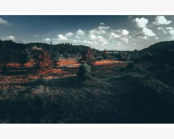 MT4手动计算风险回报比止损止盈点数比例方法_不同周期参数对信号的实战影响