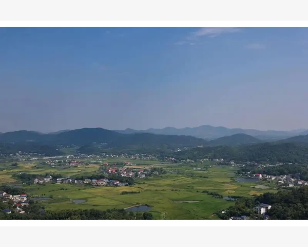 MT4历史绘制对象一键清除方法详解_网络连接检查从本地开始