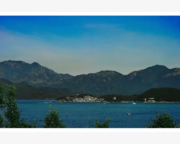 MT4止盈止损触发方式能否分开设置_常见问题与替代方案