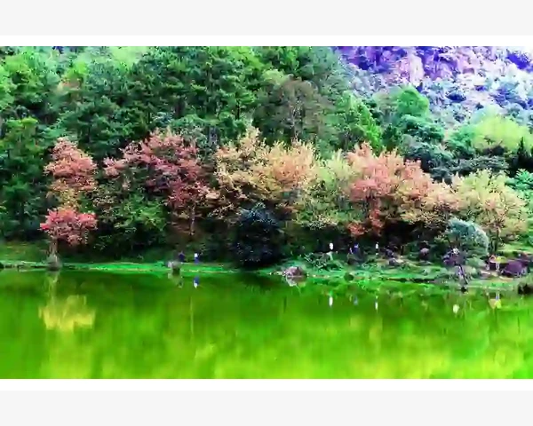 MT4自定义函数库编写MQL4代码实现模块化_理解自定义函数库的核心价值