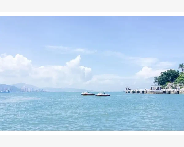 MT4运行卡顿优化设置全攻略_迁移前的准备工作