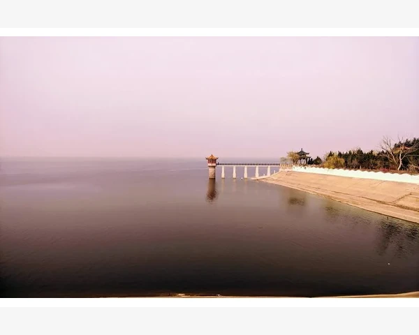 MT4手机与电脑持仓不同步刷新连接状态方法_把指标移动到副图窗口的具体操作步骤