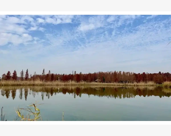 MT4图表自动滚动关闭与开启轻松掌握_自动滚动的核心作用与常见困扰_1